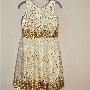 Shimmery Dress